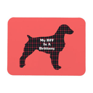 Brittany Spaniel BFF Magnet