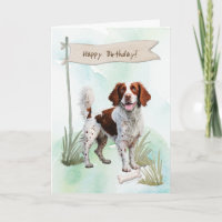 Brittany Spaniel Breed Dog Under Birthday Sign