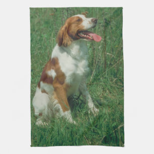 Brittany Spaniel Dog Kitchen Towel