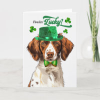 Brittany Spaniel Dog Lucky St Patrick's Day