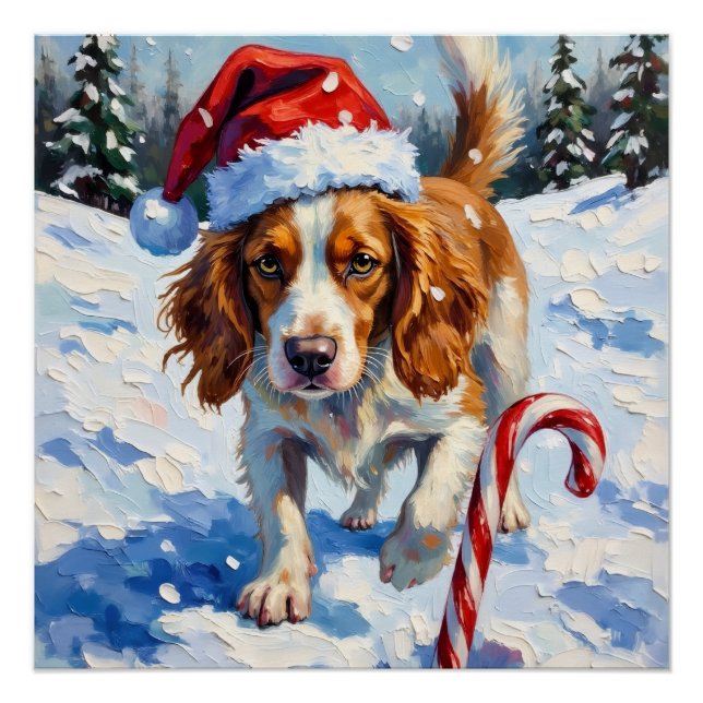 Brittany Spaniel Dog Pointing at Christmas Candy Poster (Front)