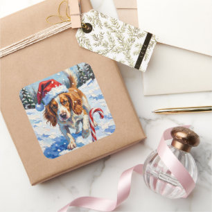 Brittany Spaniel Dog Pointing at Christmas Candy Square Sticker