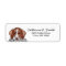 Brittany Spaniel Dog Return Address