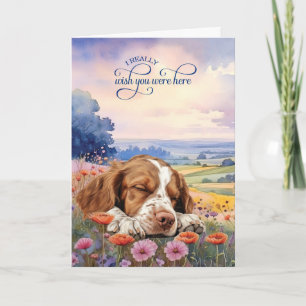 Brittany Spaniel Dog Wildflowers Miss You Card