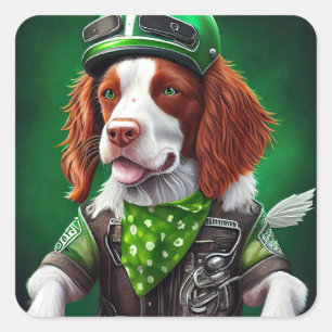 Brittany Spaniel driving bike St. Patrick's Day Square Sticker