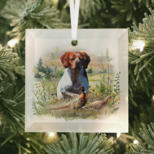 Brittany Spaniel – Field, Focus, Pheasant , Art  Glass Ornament