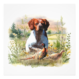 Brittany Spaniel – Field, Focus, Pheasant , Art Photo Print