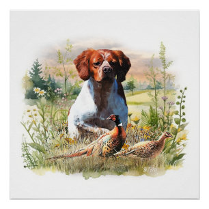 Brittany Spaniel – Field, Focus, Pheasant , Art  Poster