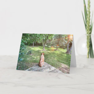 Brittany spaniel folded note card