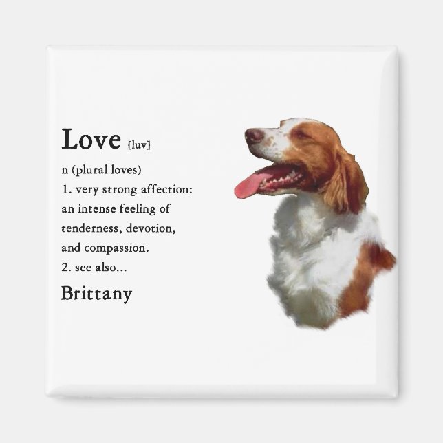 Brittany Spaniel Gifts Magnet (Front)