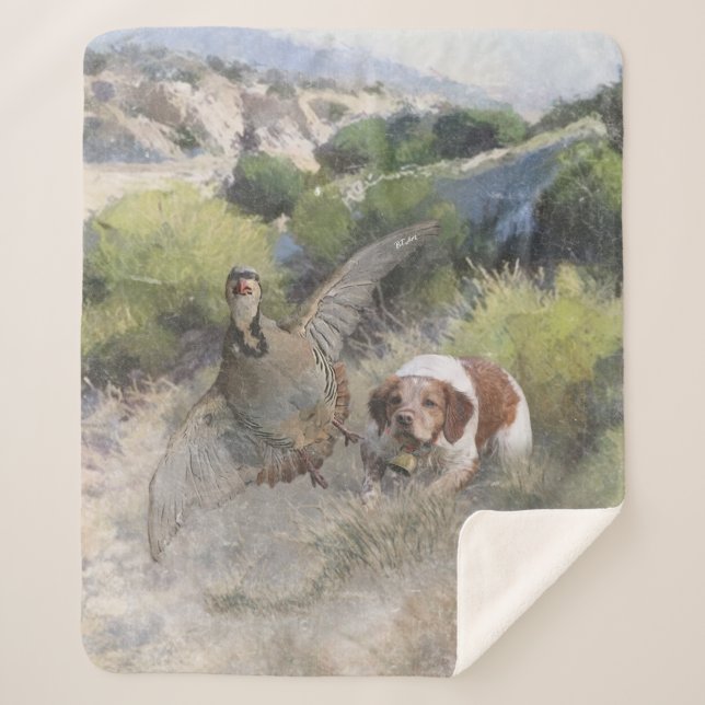 Brittany Spaniel hunting chukar partridge, Art  Sherpa Blanket (Front)