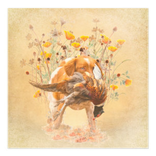 Brittany Spaniel, Hunting Pheasant Coffee Mug T-Sh Photo Print