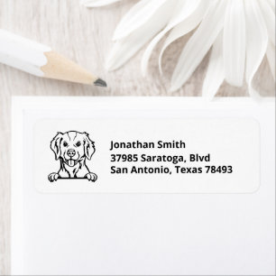BRITTANY SPANIEL   Image on Return Address