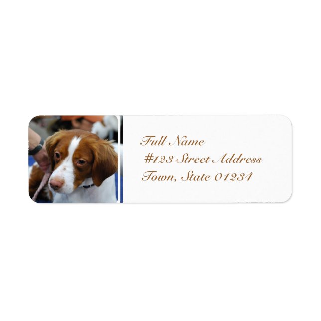 Brittany Spaniel Mailing Labels (Front)