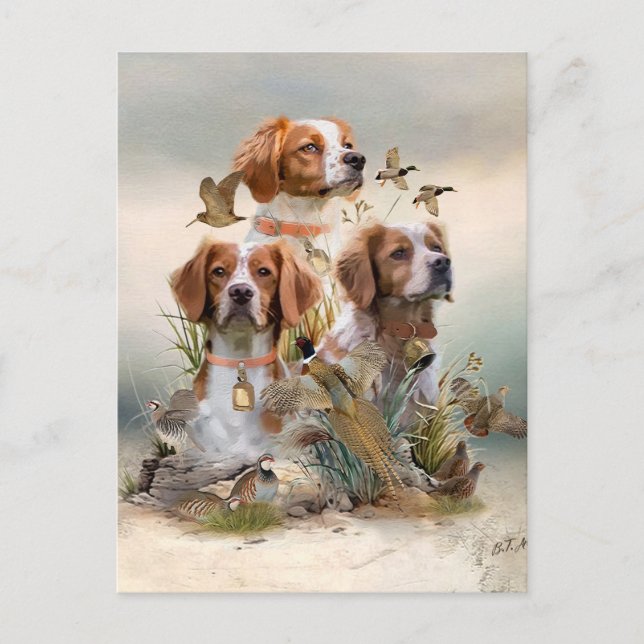 Brittany Spaniel , Passion for Birds Postcard (Front)