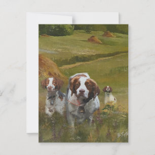 Brittany Spaniel Postcard