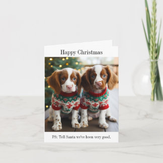 Brittany Spaniel Puppies Christmas Card