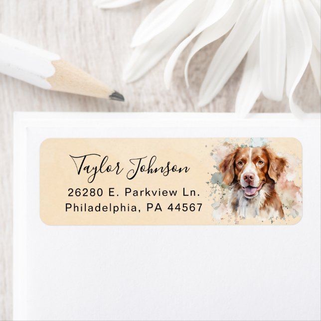 Brittany Spaniel Return Address Label (Insitu)