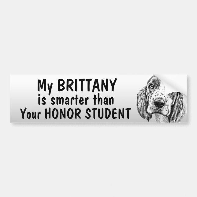 Brittany Spaniel - Smarter than student - funny Bumper Sticker (Front)