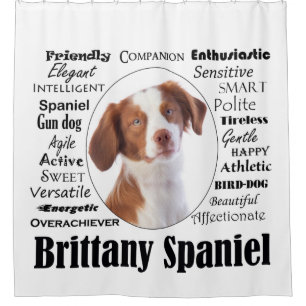 Brittany Spaniel Traits