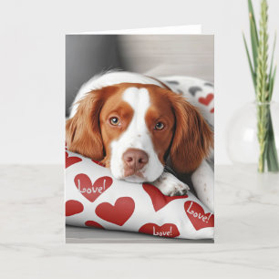 Brittany Spaniel Valentine Card