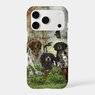  Brittany Spaniels,   Bird Hunting      