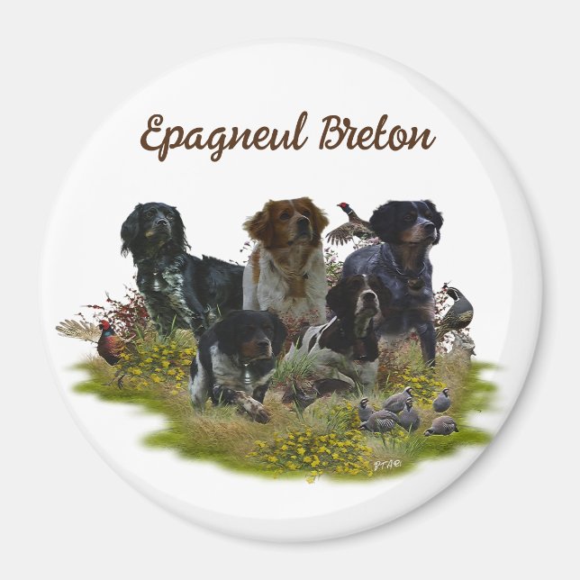  Brittany Spaniels,   Bird Hunting  Magnet (Front)