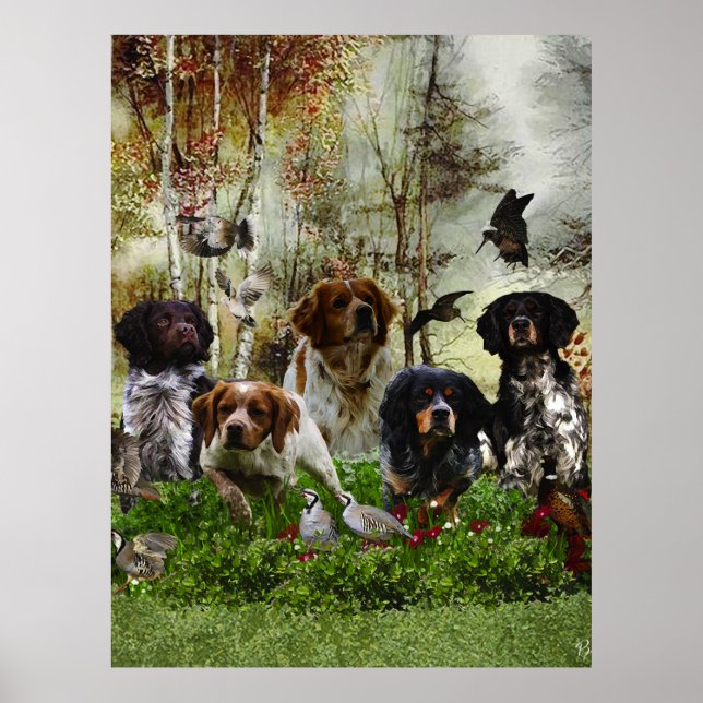  Brittany Spaniels,   Bird Hunting  Poster (Front)