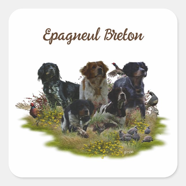  Brittany Spaniels,   Bird Hunting   Square Sticker (Front)
