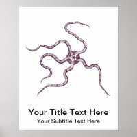 Brittle Star - Serpent Star - Marine Biology