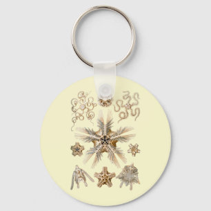Brittle stars keychain
