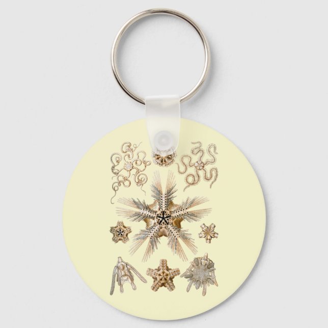 Brittle stars keychain (Front)