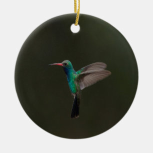 Broad-billed hummingbird in flight  ceramic ornament