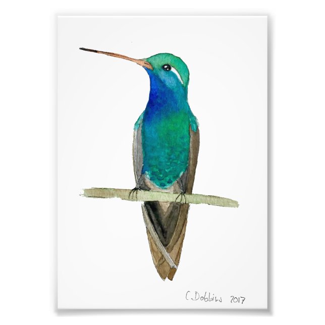 Broad-billed Hummingbird On A Branch Photo Print (Front)