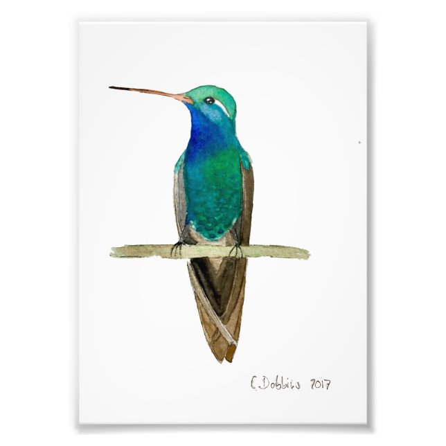 Broad-billed Hummingbird Photo Print (Front)