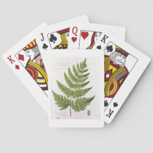 Broad Prickly-toothed Buckler Fern, painted at Bra Playing Cards