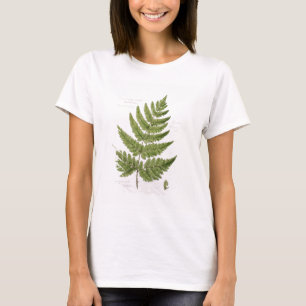 Broad Prickly-toothed Buckler Fern, painted at Bra T-Shirt
