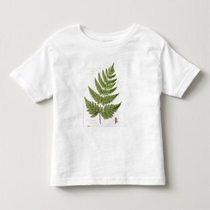 Broad Prickly-toothed Buckler Fern, painted at Bra Toddler T-shirt