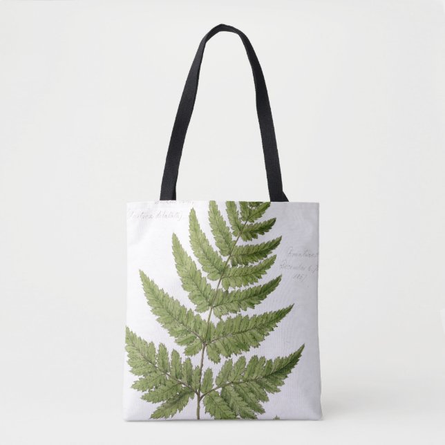 Broad Prickly-toothed Buckler Fern, painted at Bra Tote Bag (Front)