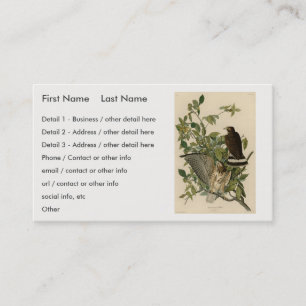 Broad-winged Hawk from Audubon's Birds of America Business Card