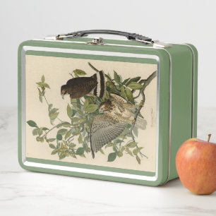 Broad-winged Hawk from Audubon's Birds of America Metal Lunch Box