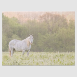 Broadfoot Mare Tissue Paper