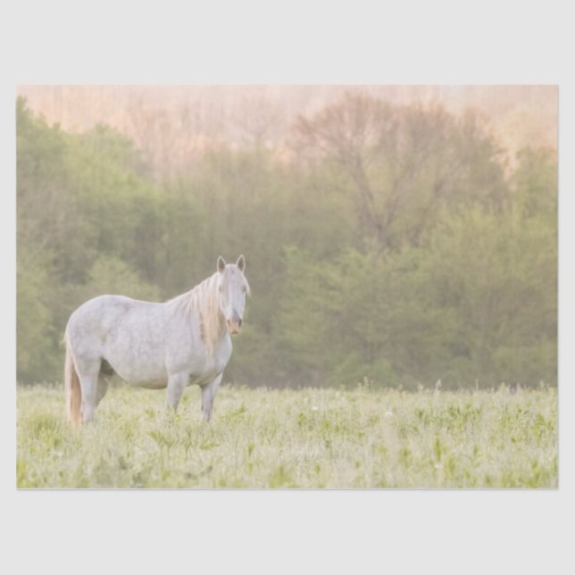 Broadfoot Mare Tissue Paper (Front)