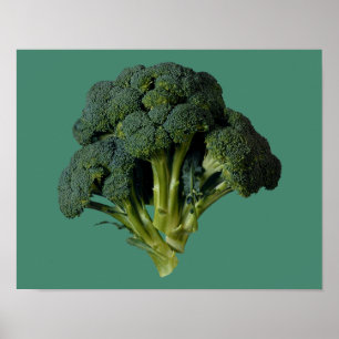 Broccoli 14" x 11", Value Poster Paper (Matte)