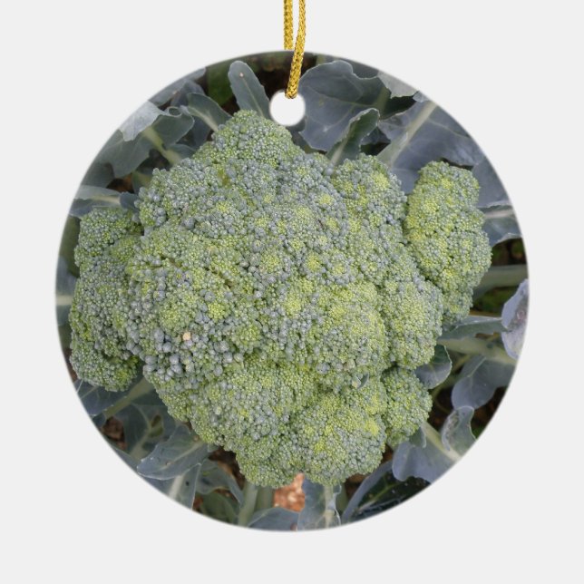Broccoli Custom Birthday Ceramic Ornament (Front)