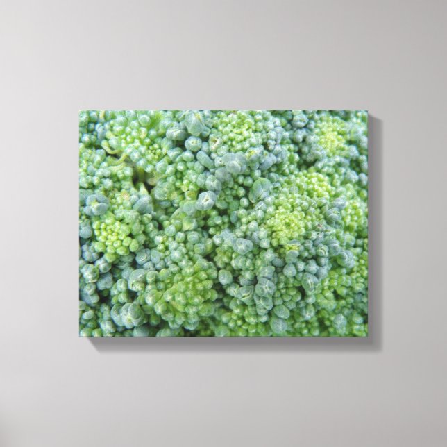 Broccoli Macro Canvas Print (Front)