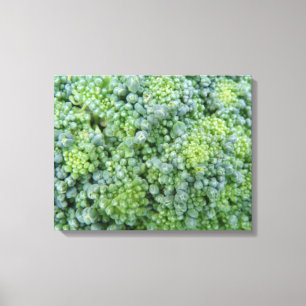 Broccoli Macro Canvas Print