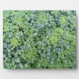 Broccoli Macro Plaque