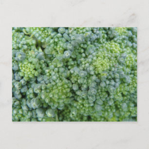 Broccoli Macro Postcard