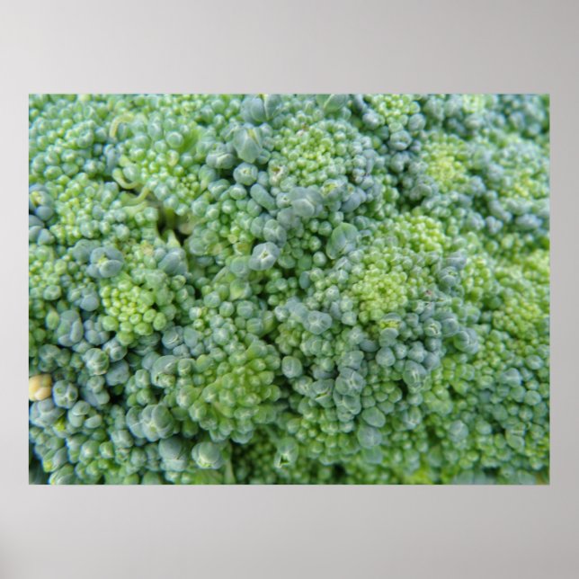 Broccoli Macro Print (Front)